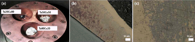 KPMI-24-377_F4.gif