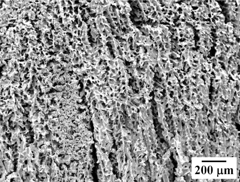 KPMI-25-25_F4.gif