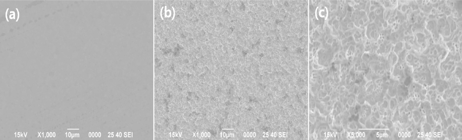 KPMI-27-4-293_F8.gif