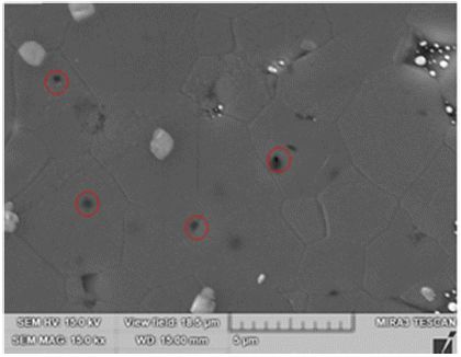 KPMI-29-5-357_F4.gif
